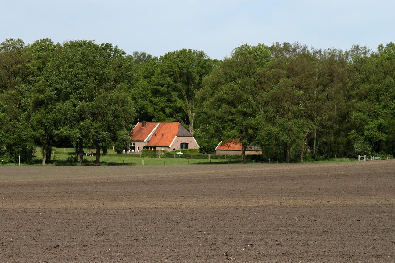 Hotel Landgoedhotel Woodbrooke Barchem