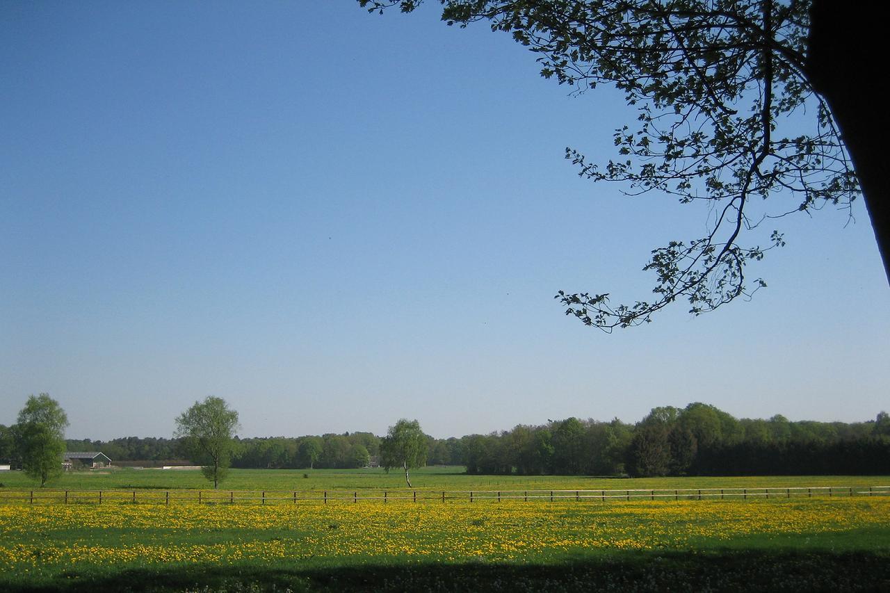 Landgoedhotel Woodbrooke Hotel