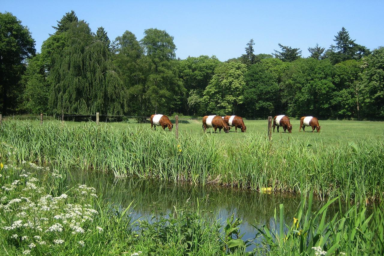 Hotel Landgoedhotel Woodbrooke