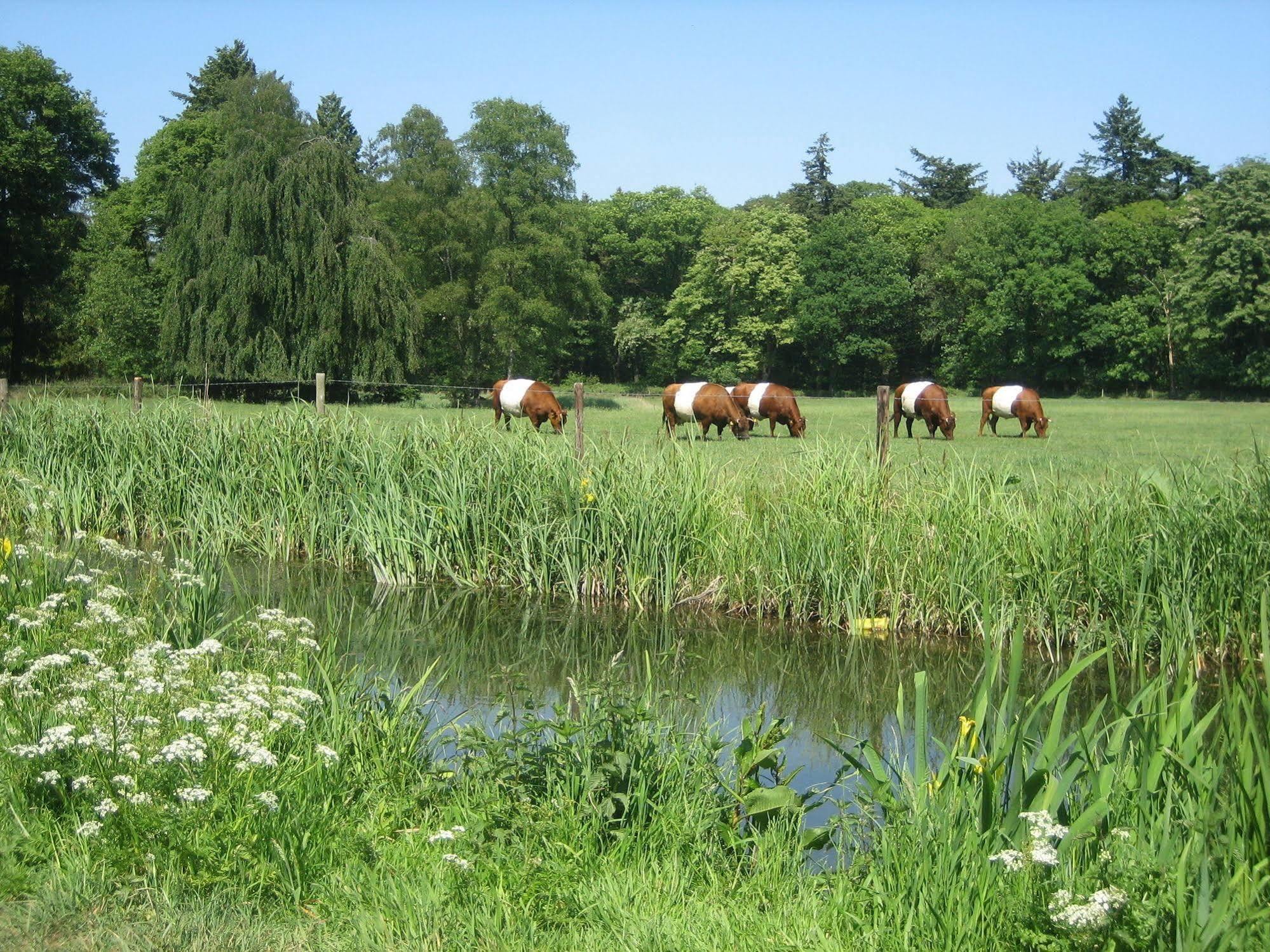 Landgoedhotel Woodbrooke